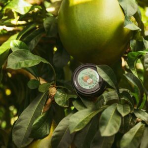 Masque charbon actif concombre